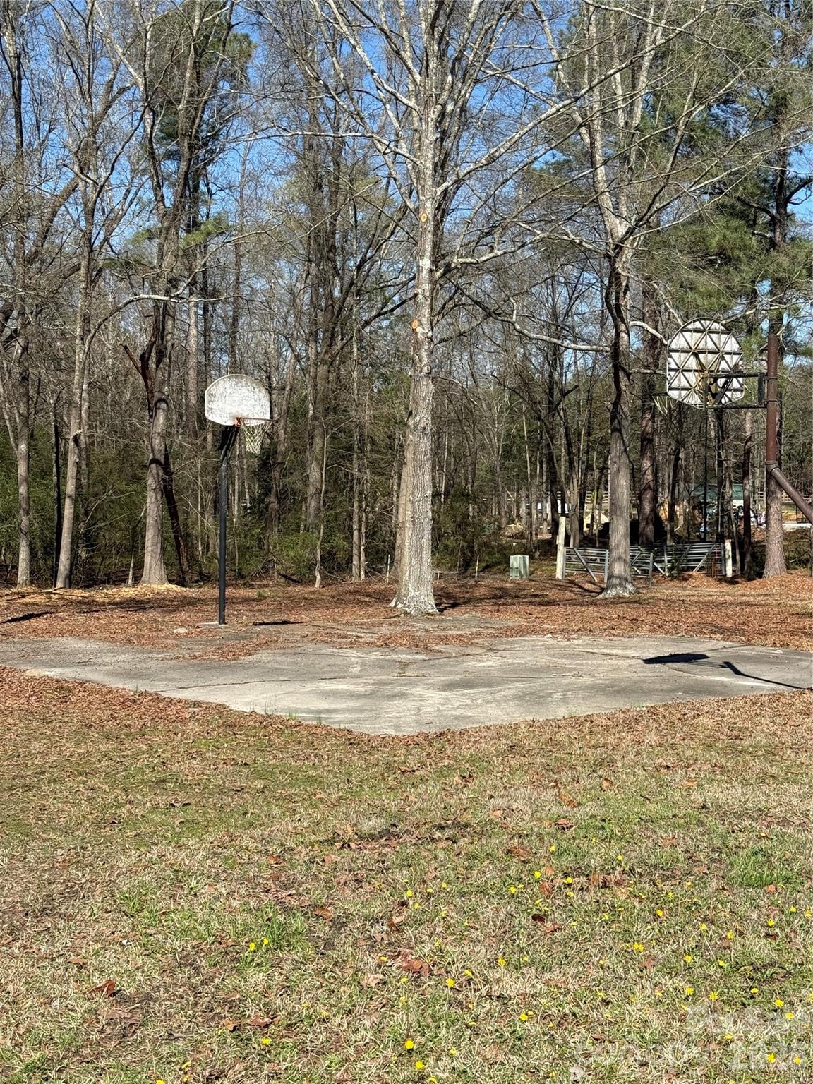 5808 Flint Ridge Marshville, NC 28103 - Photo 29 of 38 a view of road and trees