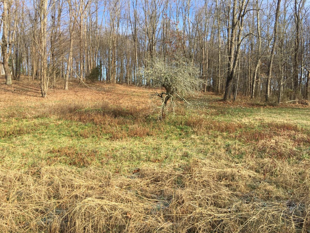 3333 Highway 81, Unit 3 Fall Branch, TN 37656 - Photo 1 of 1 3333 a