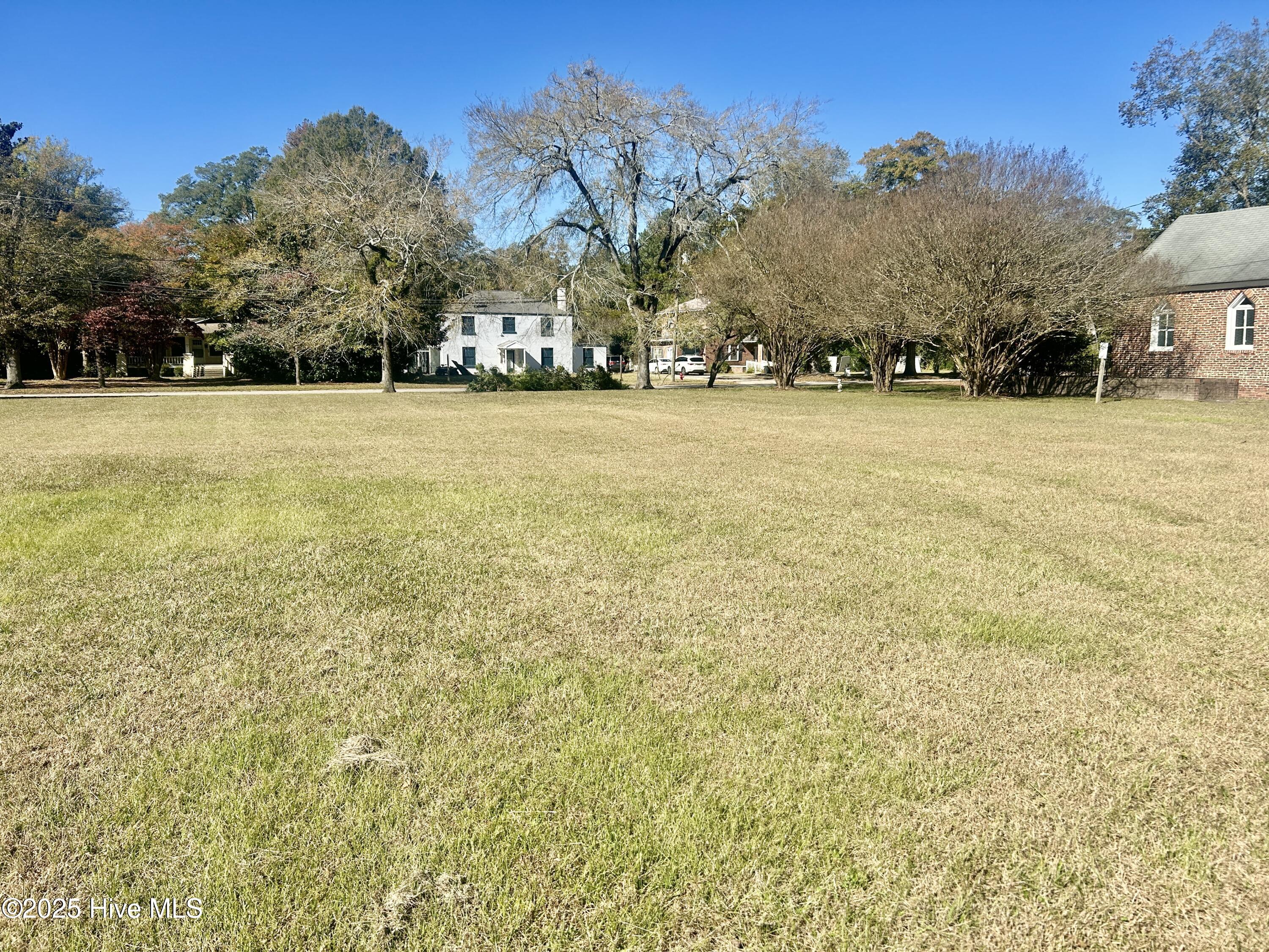 1715 Main Street Scotland Neck, NC 27874 - Photo 36 of 37 adjacent vacant lot, approx .62 acre