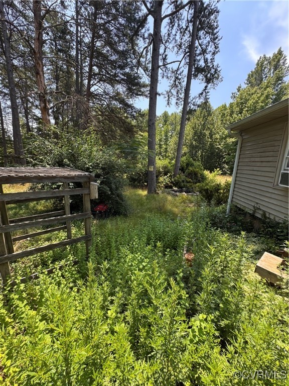 4814 Stage Junction Road Columbia, VA 23038 - Photo 19 of 30 a view of outdoor space and garden