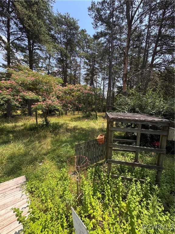 4814 Stage Junction Road Columbia, VA 23038 - Photo 20 of 30 a backyard of a house with lots of green space