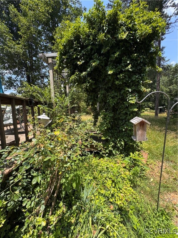 4814 Stage Junction Road Columbia, VA 23038 - Photo 21 of 30 a view of a large tree with lots of plants