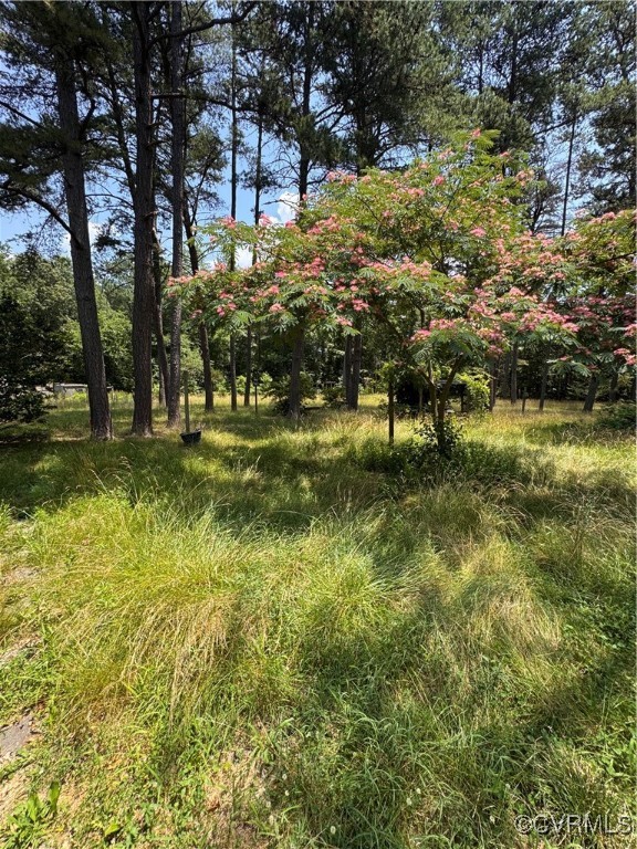 4814 Stage Junction Road Columbia, VA 23038 - Photo 22 of 30 a view of yard with green space