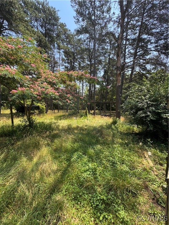 4814 Stage Junction Road Columbia, VA 23038 - Photo 23 of 30 a view of yard with trees