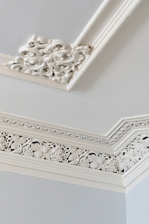 501 Shawmut Avenue, Unit 2 Boston, MA 02118 - Photo 6 of 21