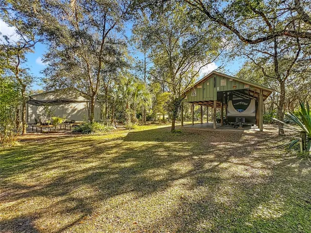 a view of a yard with plants and large trees