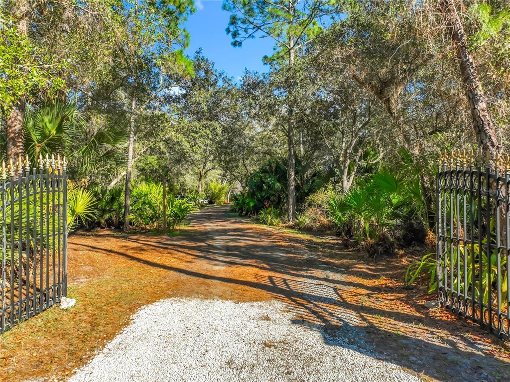 1825 Pams Way Geneva, FL 32732 - Photo 49 of 60 a view of a yard with plants and large trees