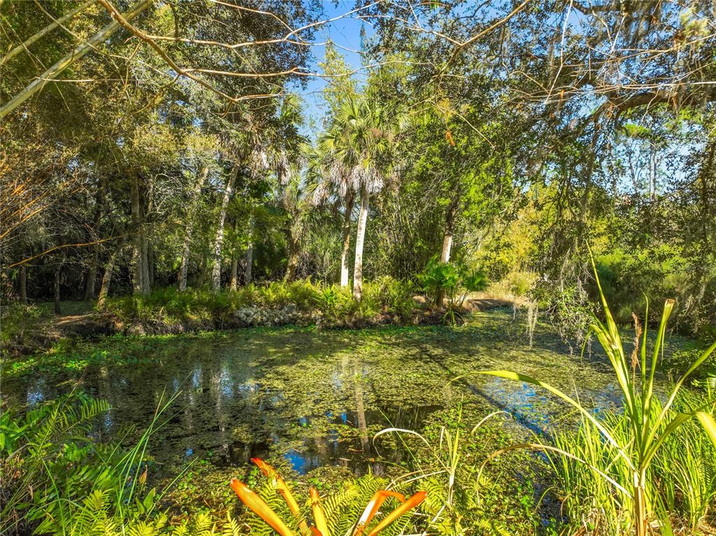 1825 Pams Way Geneva, FL 32732 - Photo 51 of 60 a view of yard with green space