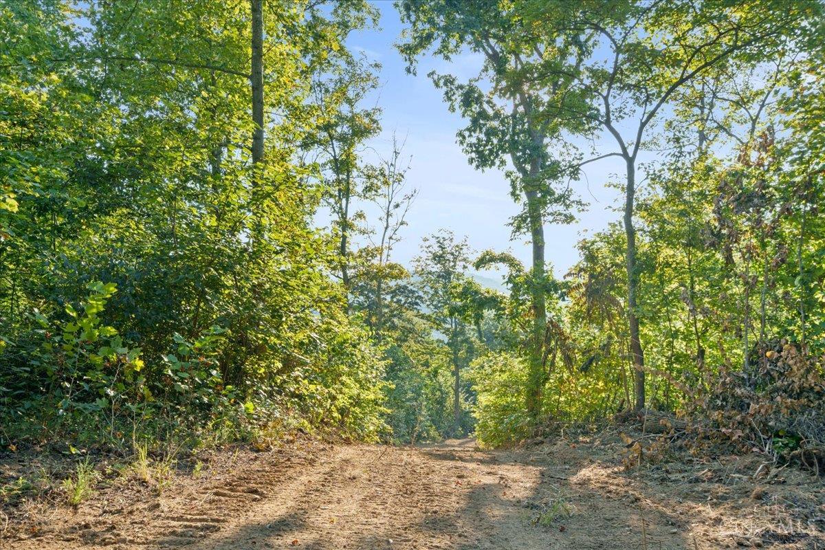 Acres Waggoner Riffle Road West Union, OH 45693 - Photo 13 of 29 Gallery Image 13