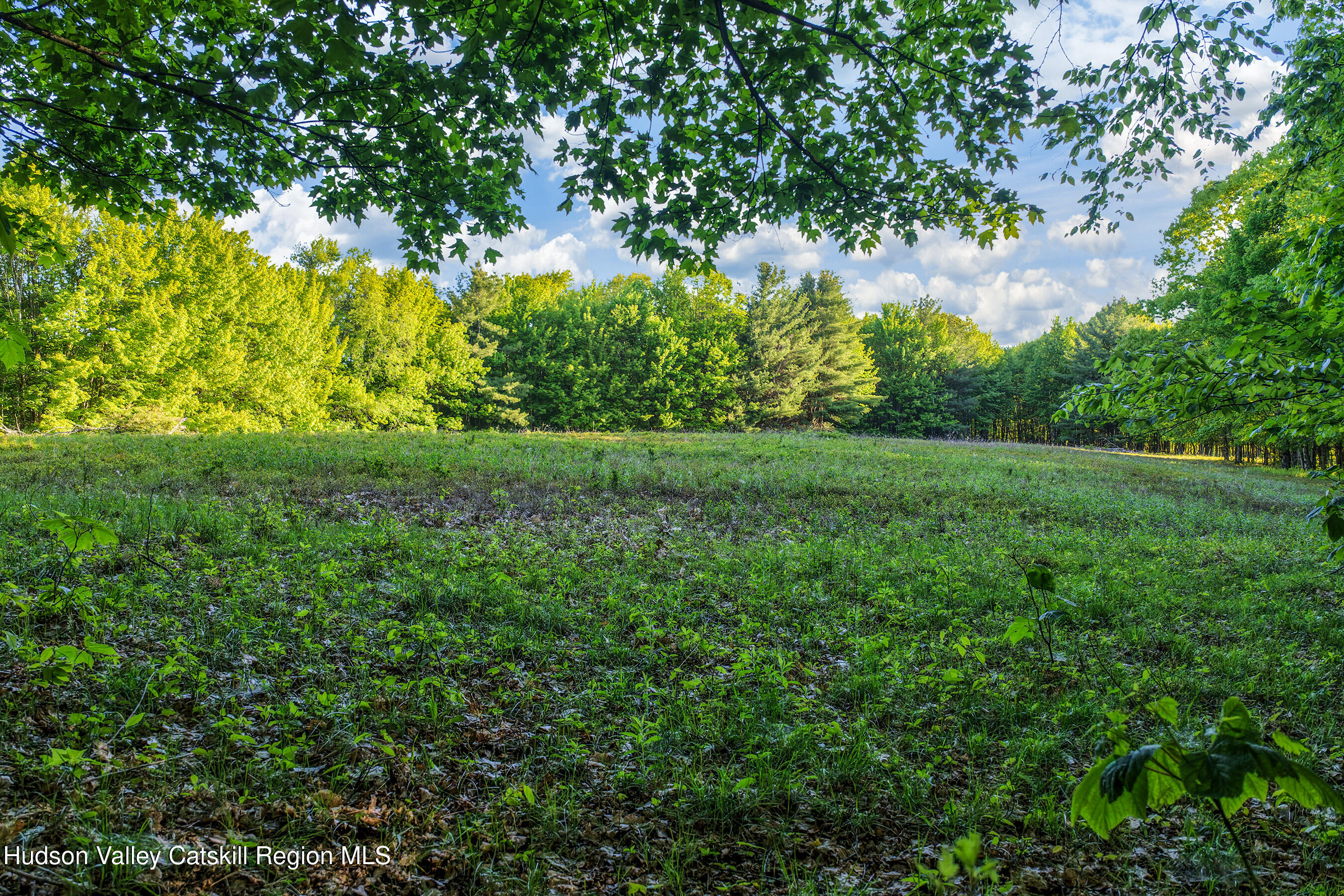 0 Frank Slawson Road Oneonta, NY 13820 - Photo 10 of 29 DJI_20260603071539_0506_D-Edit