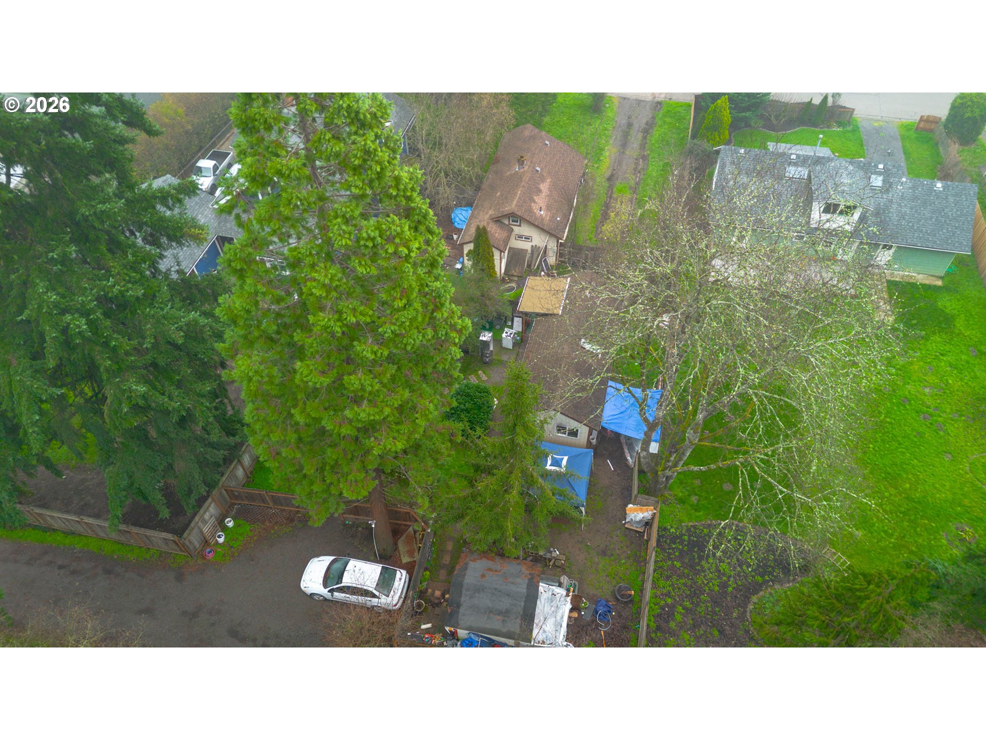 1702 Augusta Street Eugene, OR 97403 - Photo 11 of 41