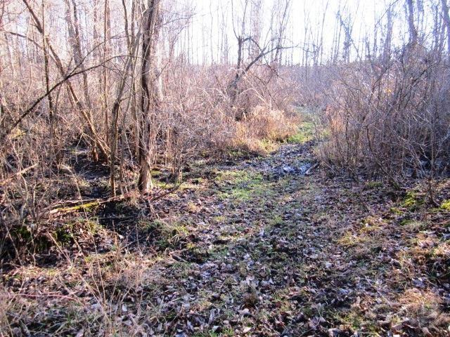 1200 Waldron Road Pittsford, MI 49271 - Photo 8 of 11 Trails