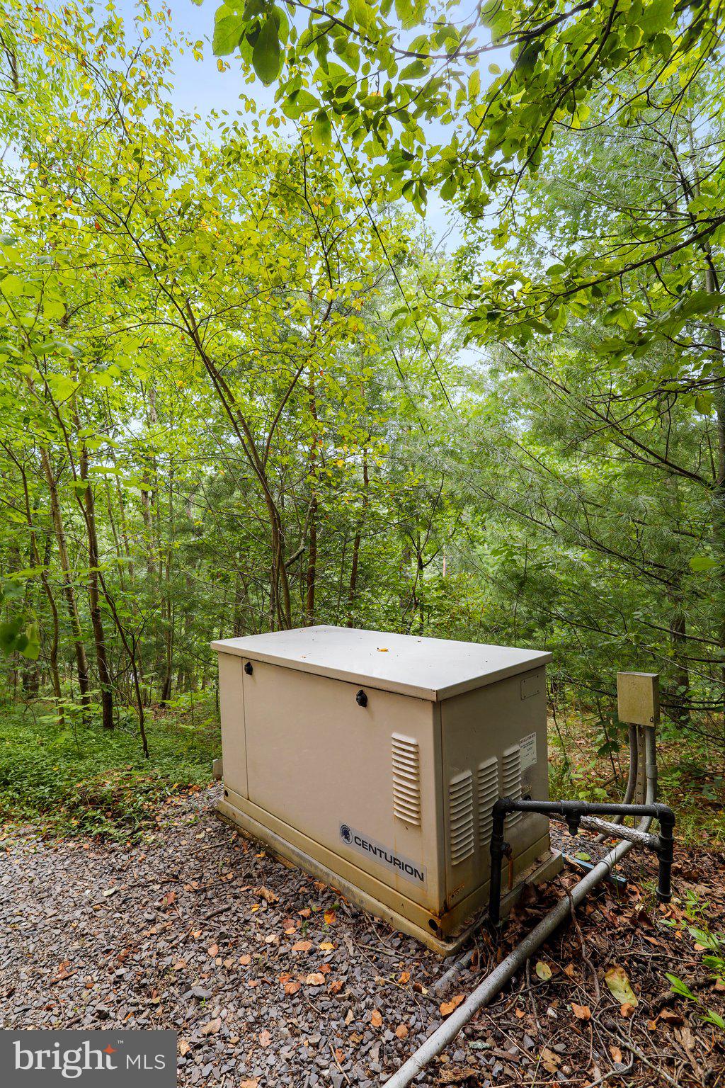 2599 Tabor Road Berkeley Springs, WV 25411 - Photo 35 of 50 Generator
