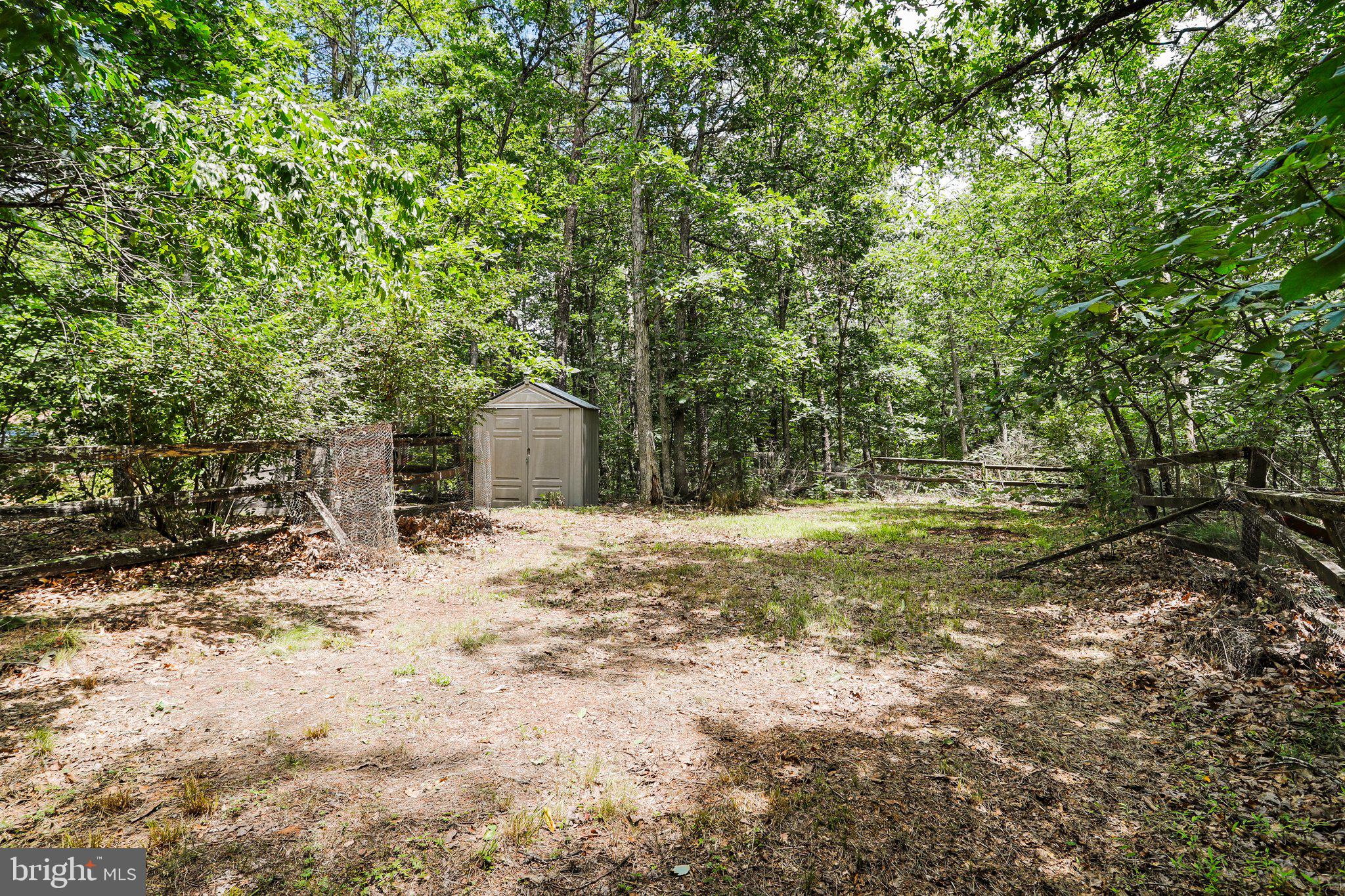 2599 Tabor Road Berkeley Springs, WV 25411 - Photo 38 of 50 Shed