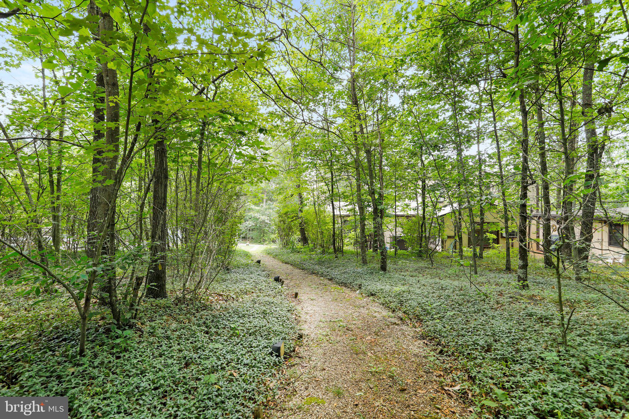 2599 Tabor Road Berkeley Springs, WV 25411 - Photo 44 of 50 Path to Second House