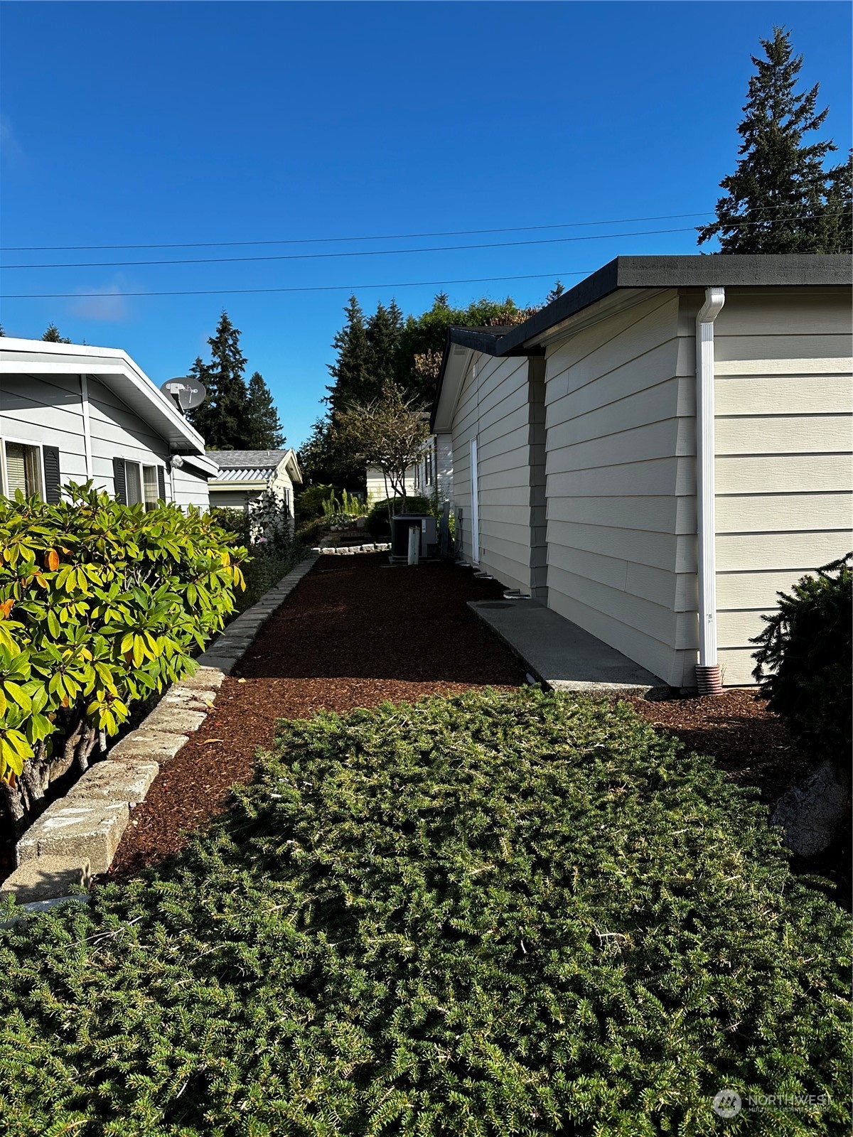 201 Union Avenue Southeast, Unit 42 Renton, WA 98059 - Photo 3 of 21
