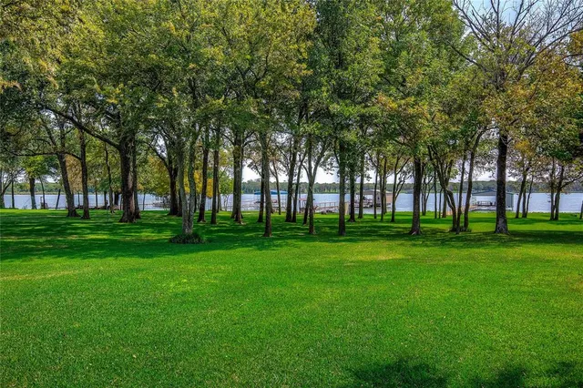 a garden view with trees