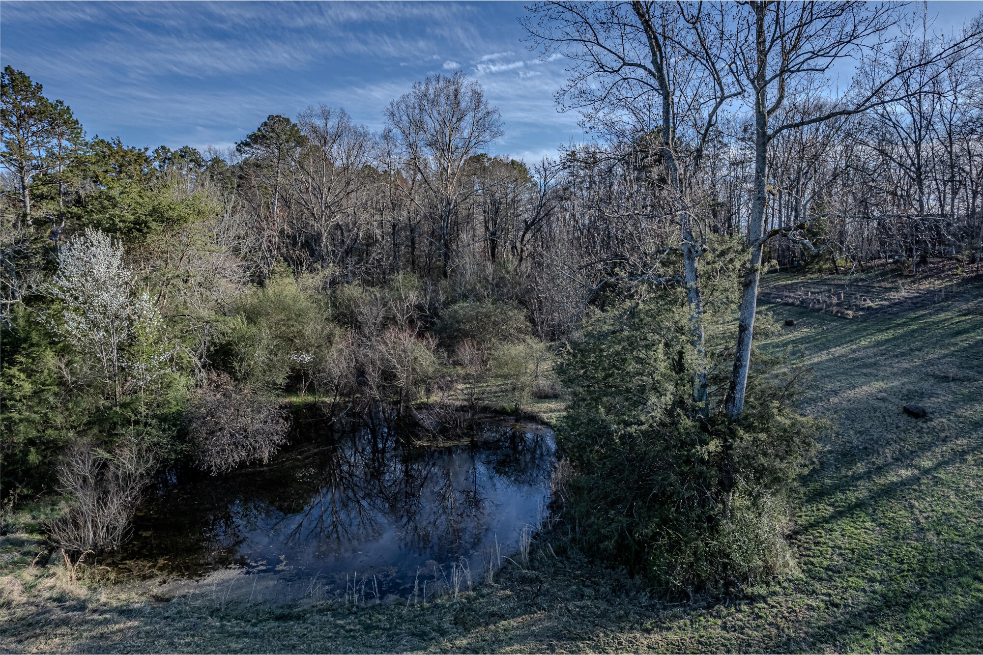 280 County Road 728 Riceville, TN 37370 - Photo 50 of 53 Gallery Image 50