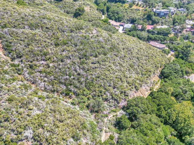 a view of a city and flowers