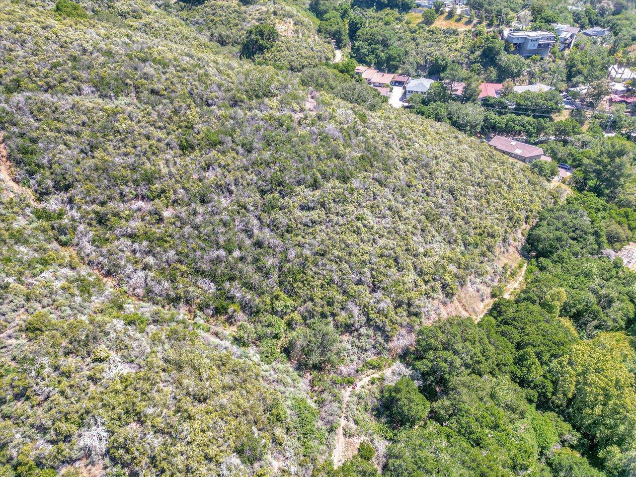 0 Devonshire Boulevard San Carlos, CA 94070 - Photo 3 of 7 a view of a city and flowers