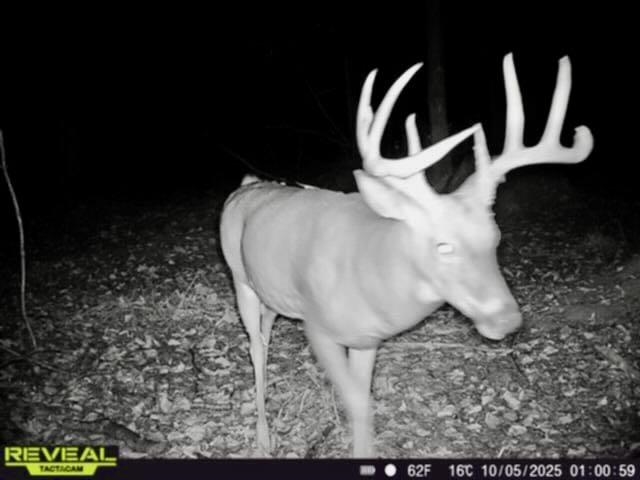 V/l South Chapin Road Elsie, MI 48831 - Photo 16 of 20