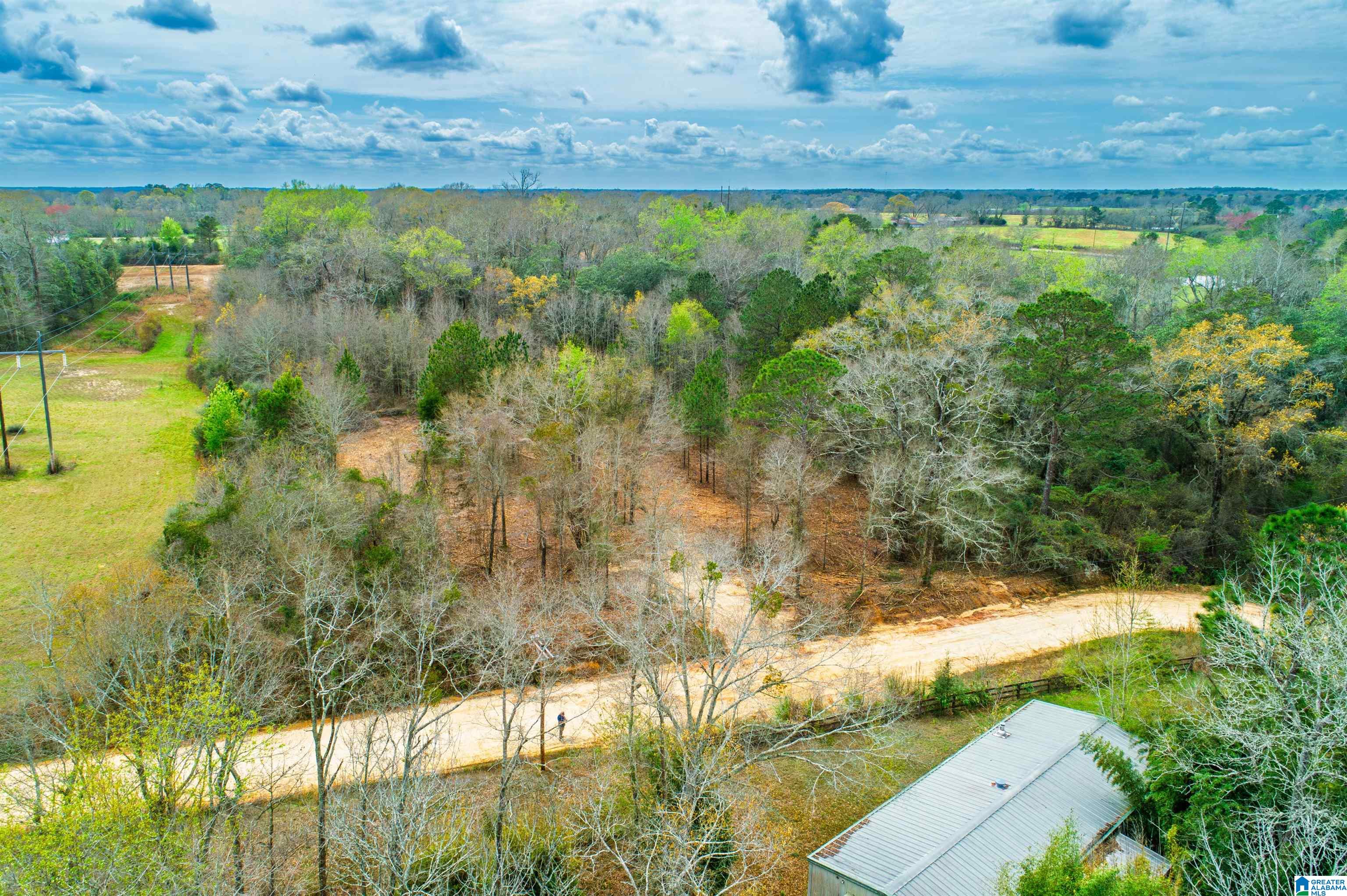 27180 Deer Run Road Opp, AL 36467 - Photo 24 of 60