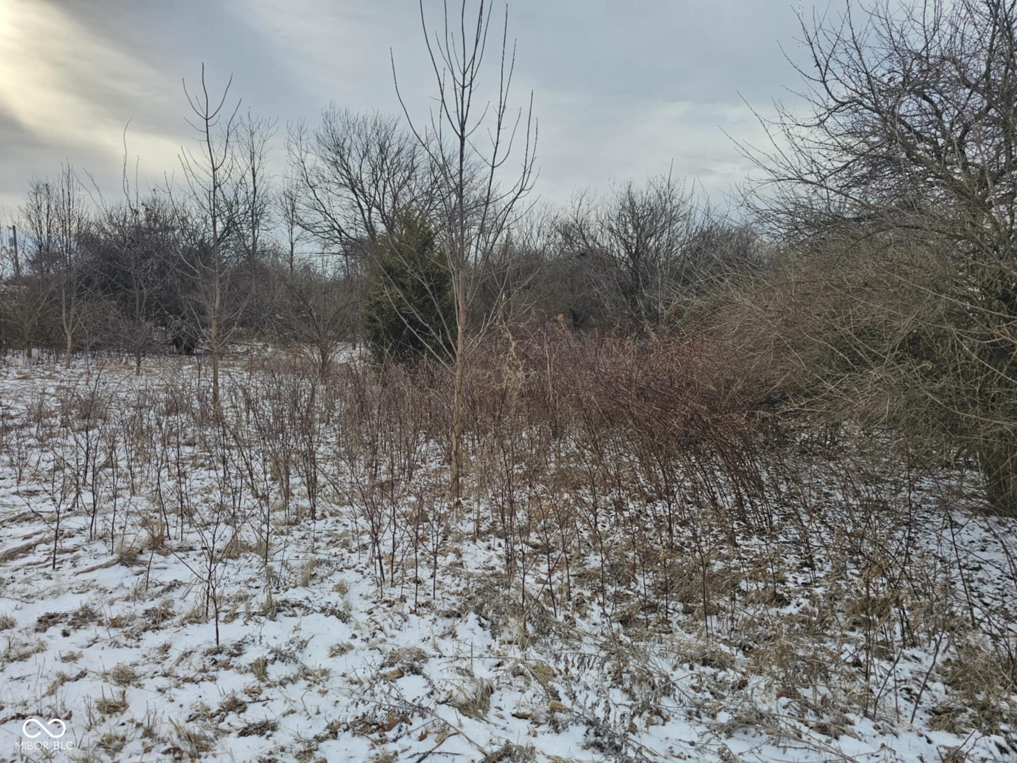 Tbd West 700 N Road Frankton, IN 46044 - Photo 3 of 5