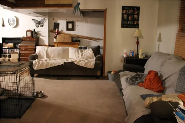 a living room with furniture flowerpot and a potted plant