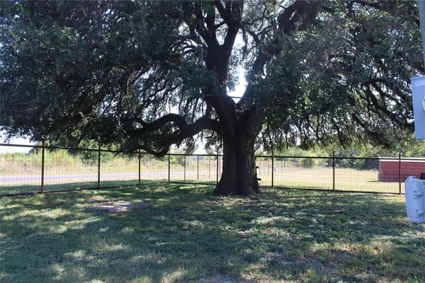 a view of yard with tree