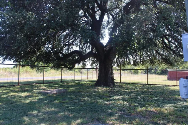 a view of yard with tree