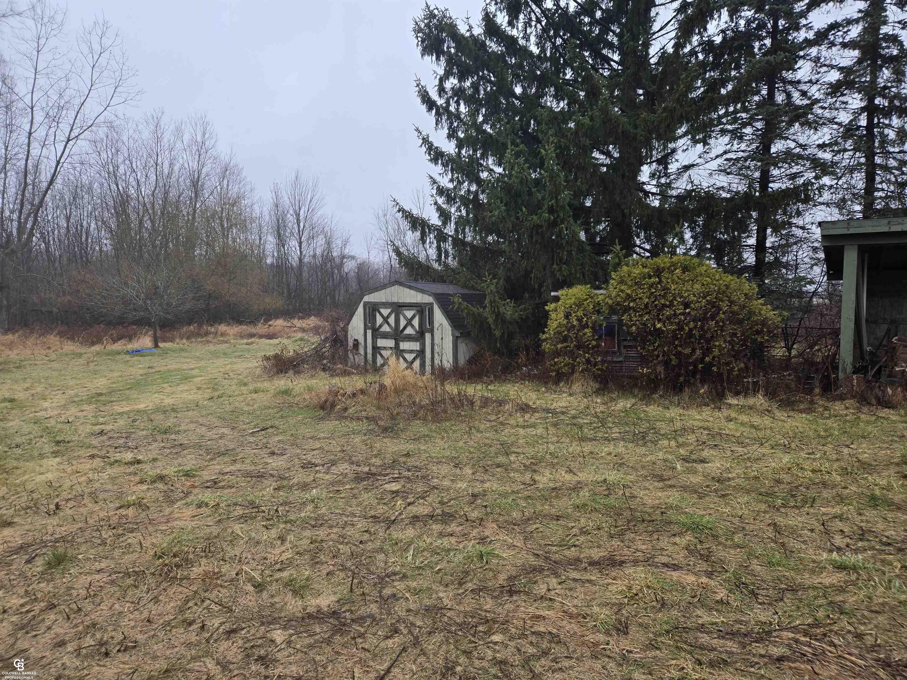 1815 Riley Center Road Memphis, MI 48041 - Photo 20 of 22 Shed