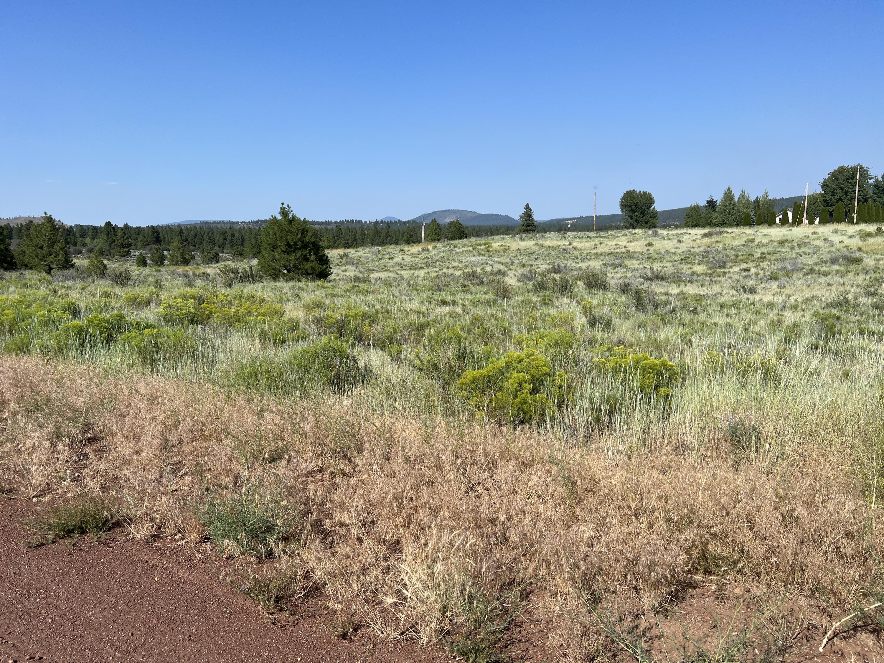 Lot 17 Pleasant View Road Chiloquin, OR 97624 - Photo 1 of 3 IMG-0744