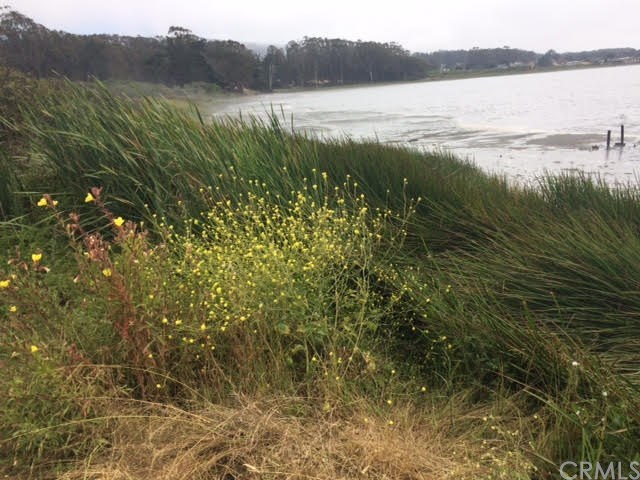 0 3rd Los Osos, CA 93402 - Photo 13 of 17