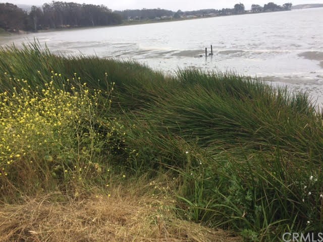 0 3rd Los Osos, CA 93402 - Photo 14 of 17