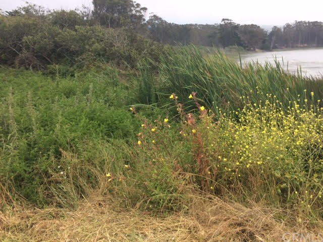 0 3rd Los Osos, CA 93402 - Photo 15 of 17