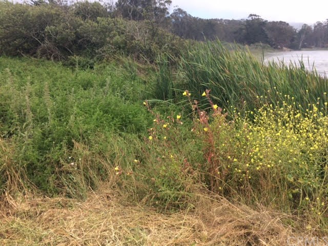 0 3rd Los Osos, CA 93402 - Photo 10 of 17