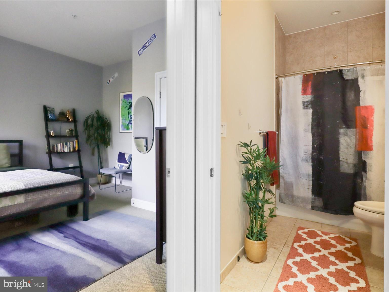 1023 North Royal Street, Unit 214 Alexandria, VA 22314 - Photo 14 of 38 a living room with furniture and a potted plant