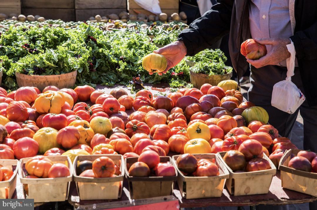 1023 North Royal Street, Unit 214 Alexandria, VA 22314 - Photo 33 of 38 a view of a backyard with wooden fence