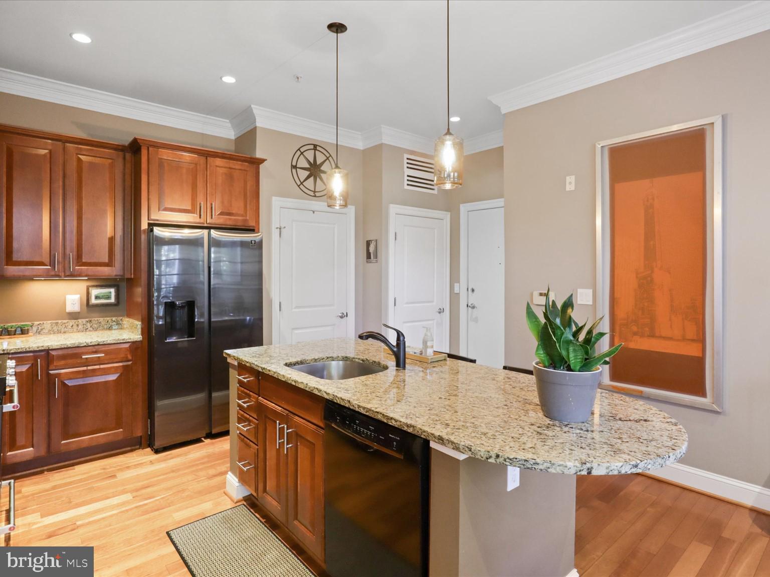1023 North Royal Street, Unit 214 Alexandria, VA 22314 - Photo 5 of 38 a kitchen with a refrigerator and a sink