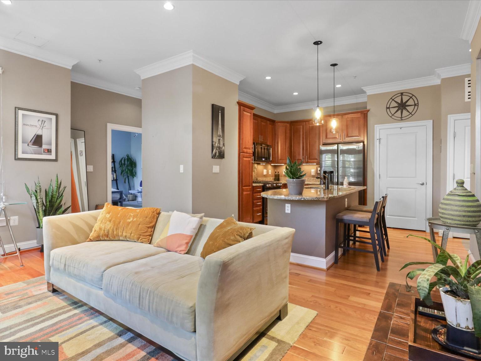 1023 North Royal Street, Unit 214 Alexandria, VA 22314 - Photo 9 of 38 a living room with furniture and kitchen view