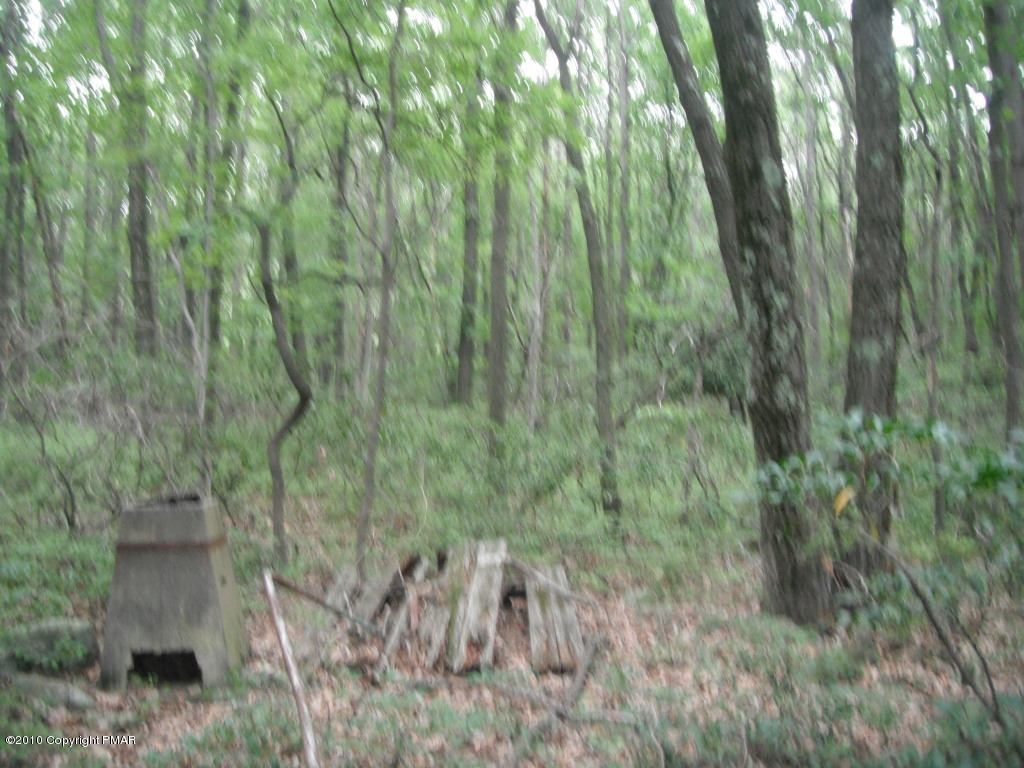 290 Davids Road Effort, PA 18330 - Photo 13 of 16 backyard