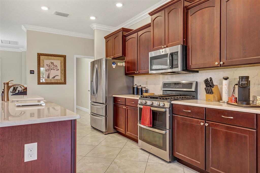 3514 Arlington Ridge Boulevard Leesburg, FL 34748 - Photo 11 of 58