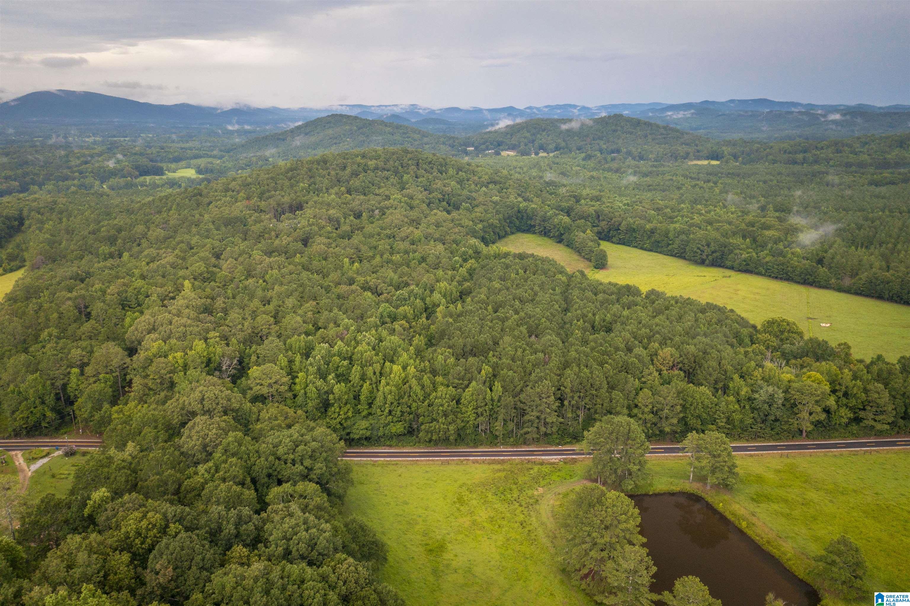 0 Iron City Cutoff Road, Unit 4 Anniston, AL 36207 - Photo 19 of 19