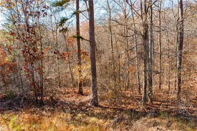 $28,000 | 0 Kingston Highway, Cartersville, GA 30120