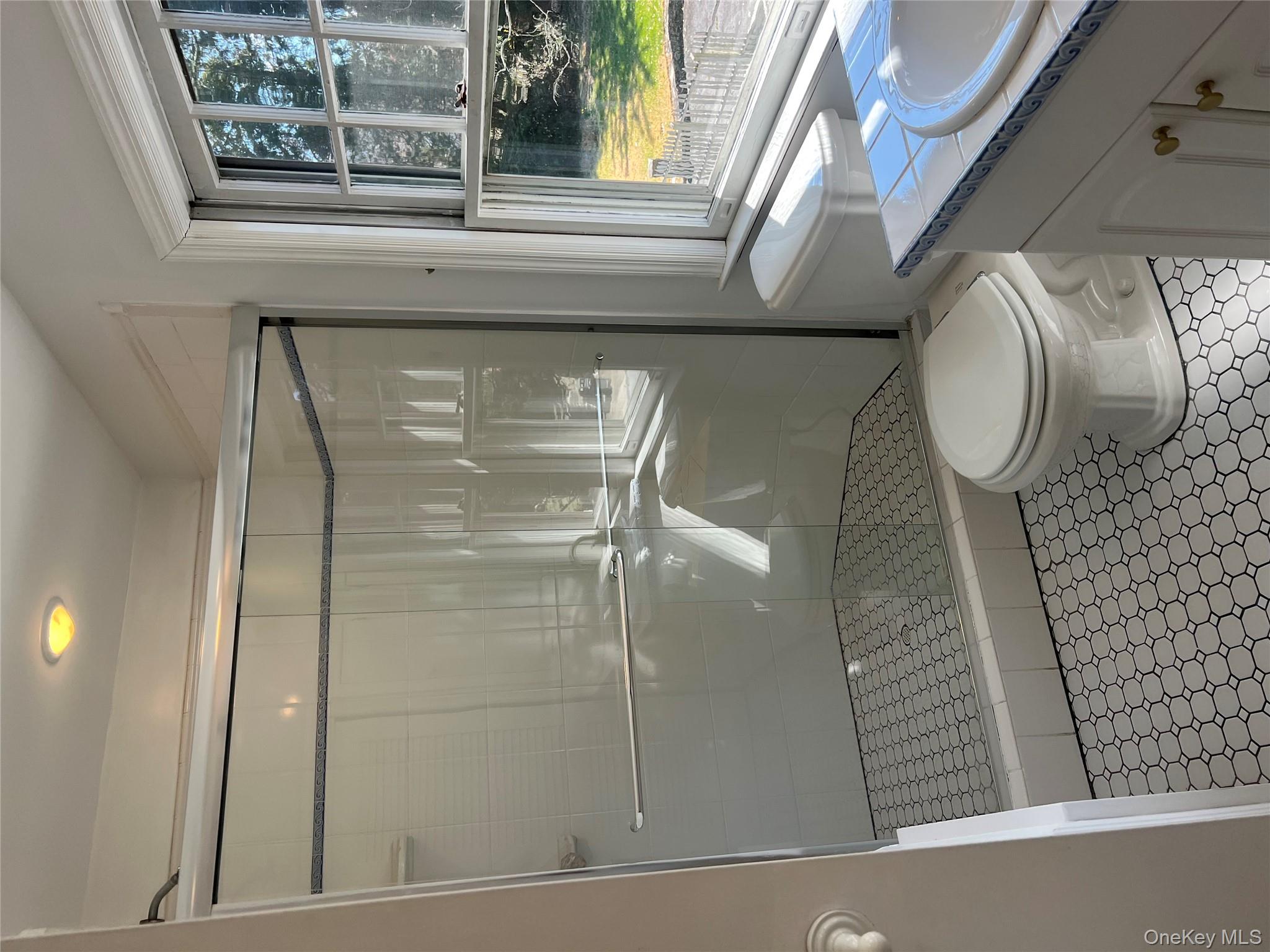 525 Milton Road Rye, NY 10580 - Photo 26 of 42 a bathroom with a toilet and a shower