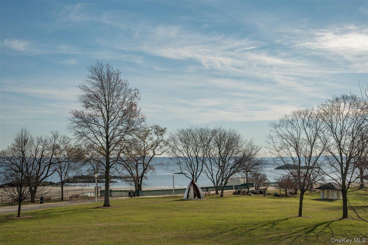 525 Milton Road Rye, NY 10580 - Photo 41 of 42
