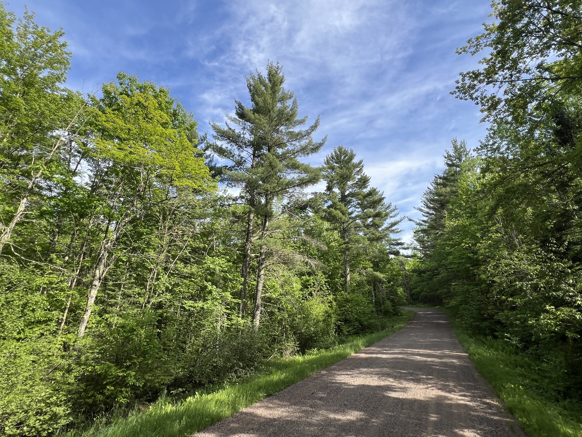 Tbd North Smith Road Couderay, WI 54828 - Photo 3 of 22