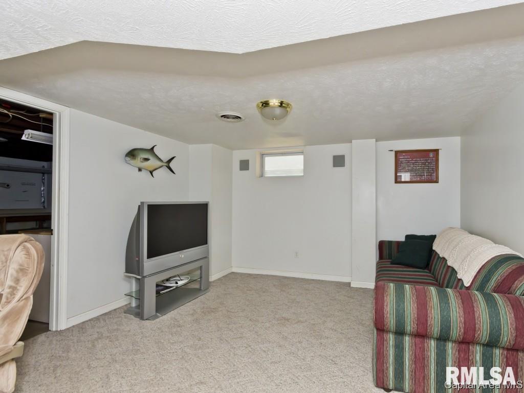 1045 North Walnut Street Springfield, IL 62702 - Photo 21 of 36