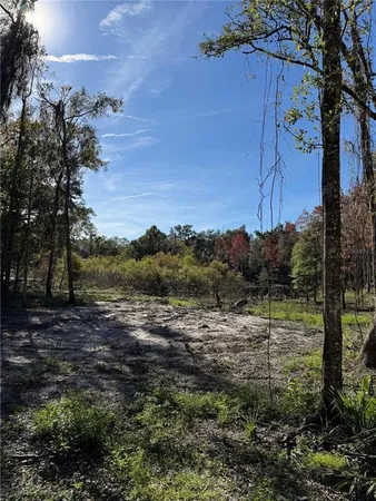 a view of outdoor space with trees