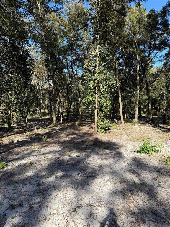 7th Place Ocala, FL 34482 - Photo 2 of 7 a view of outdoor space with trees